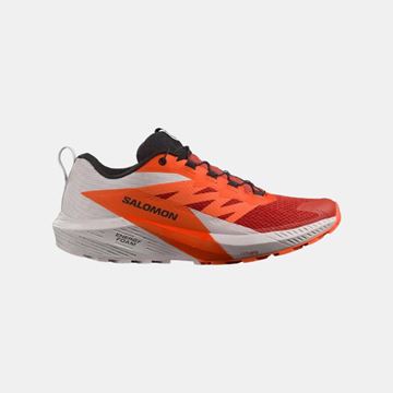 Picture of SALOMON - SENSE RIDE 5